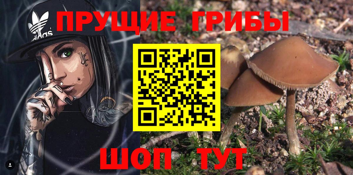Псилоцибиновые грибы Ишимбай