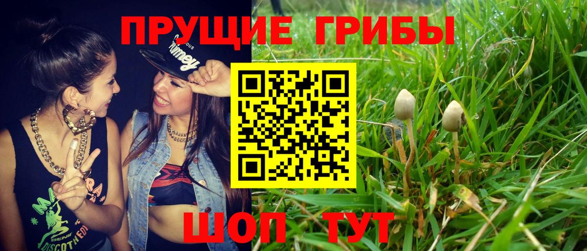 Псилоцибиновые грибы прущие грибы Ишимбай