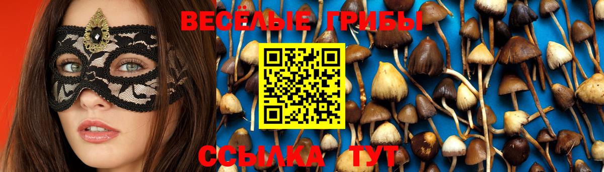 Псилоцибиновые грибы ЛСД  Вход с VPN  Галлюциногенные грибы MAGIC MUSHROOMS  Ишимбай 